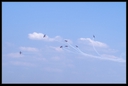 PICT0614.jpg