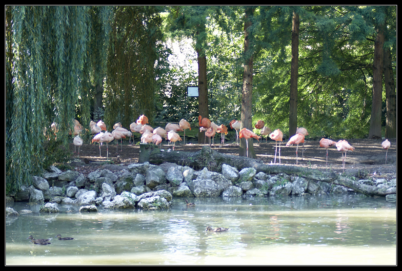 PICT0985.jpg
