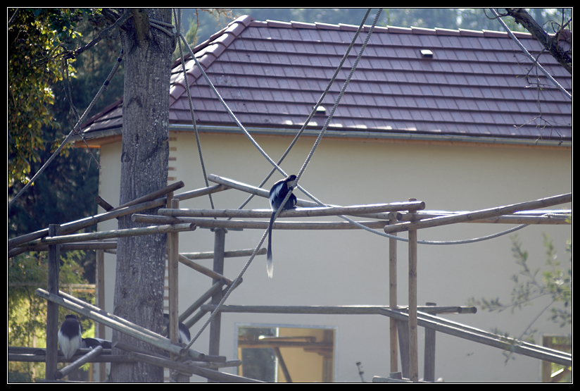 PICT0987.jpg