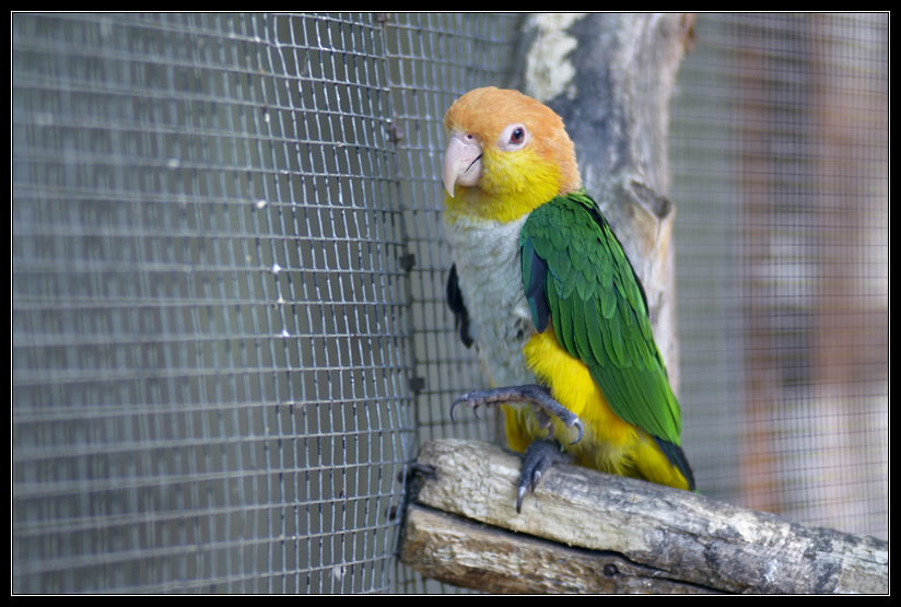 PICT1014.jpg