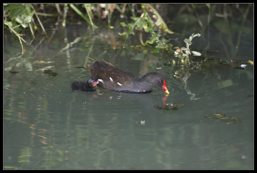 PICT1112.jpg