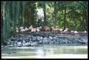 PICT0985.jpg