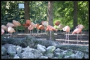 PICT0986.jpg