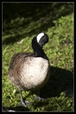 PICT0992.jpg