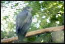 PICT1042.jpg
