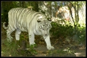 PICT1105.jpg