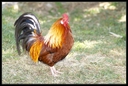 PICT1117.jpg