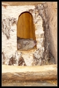 PICT1246.jpg