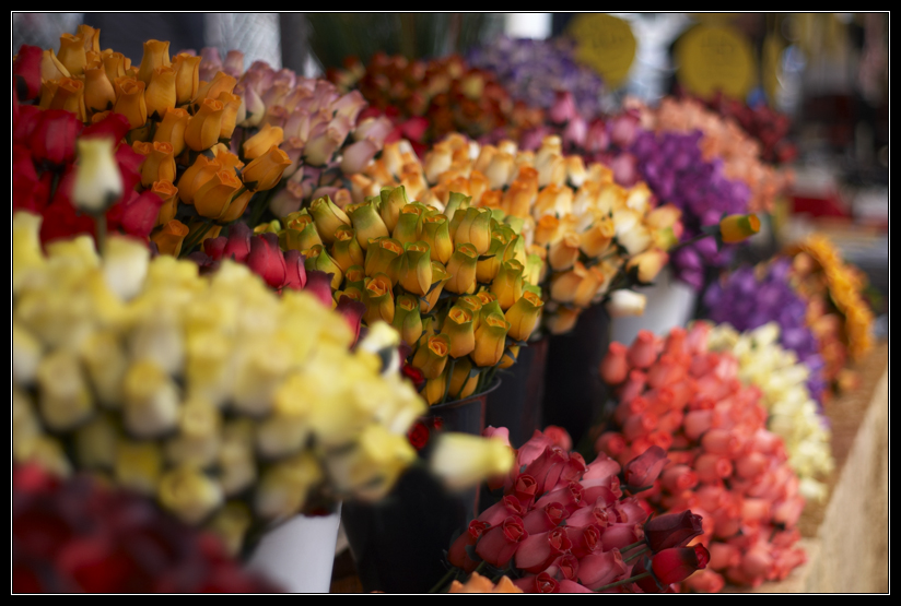 PICT0005.jpg