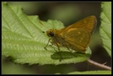 Macro_Hostens2_-9.jpg