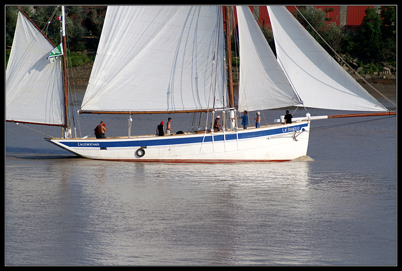 PICT0937.jpg