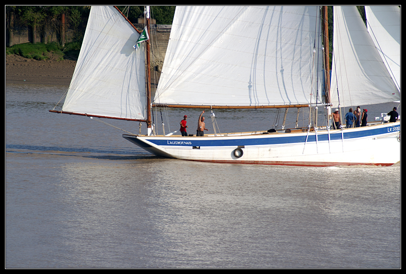 PICT0940.jpg