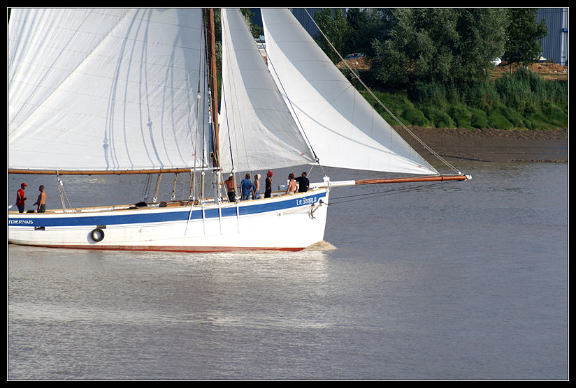 PICT0941.jpg