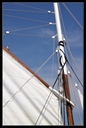 PICT0910.jpg