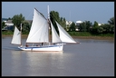 PICT0936.jpg