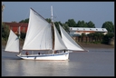 PICT0938.jpg