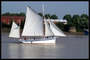PICT0939.jpg
