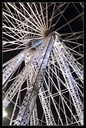 PICT0090.jpg