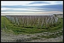 PICT0020.JPG
